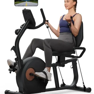 Smart Recumbent Exercise Bike