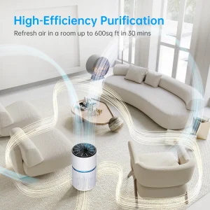 Air Purifier for Large Rooms